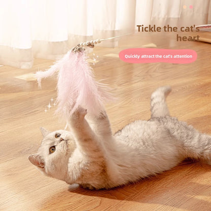 Interactive Feather Cat Toy - Fun Chase & Play Teaser for Cats