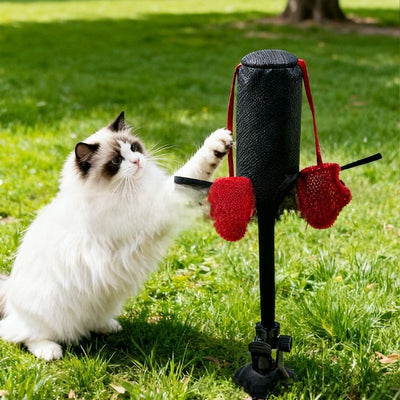 Interactive Cat Punching Toy - Fun Exercise & Hunting Stimulation Toy